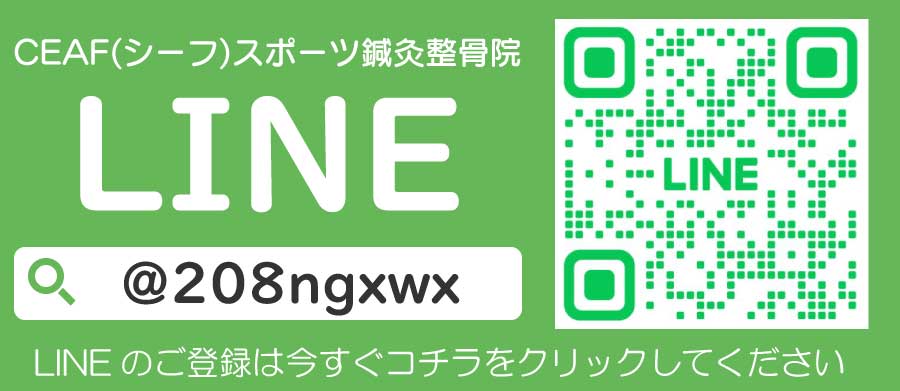 CEAF(シーフ)スポーツ鍼灸整骨院LINE